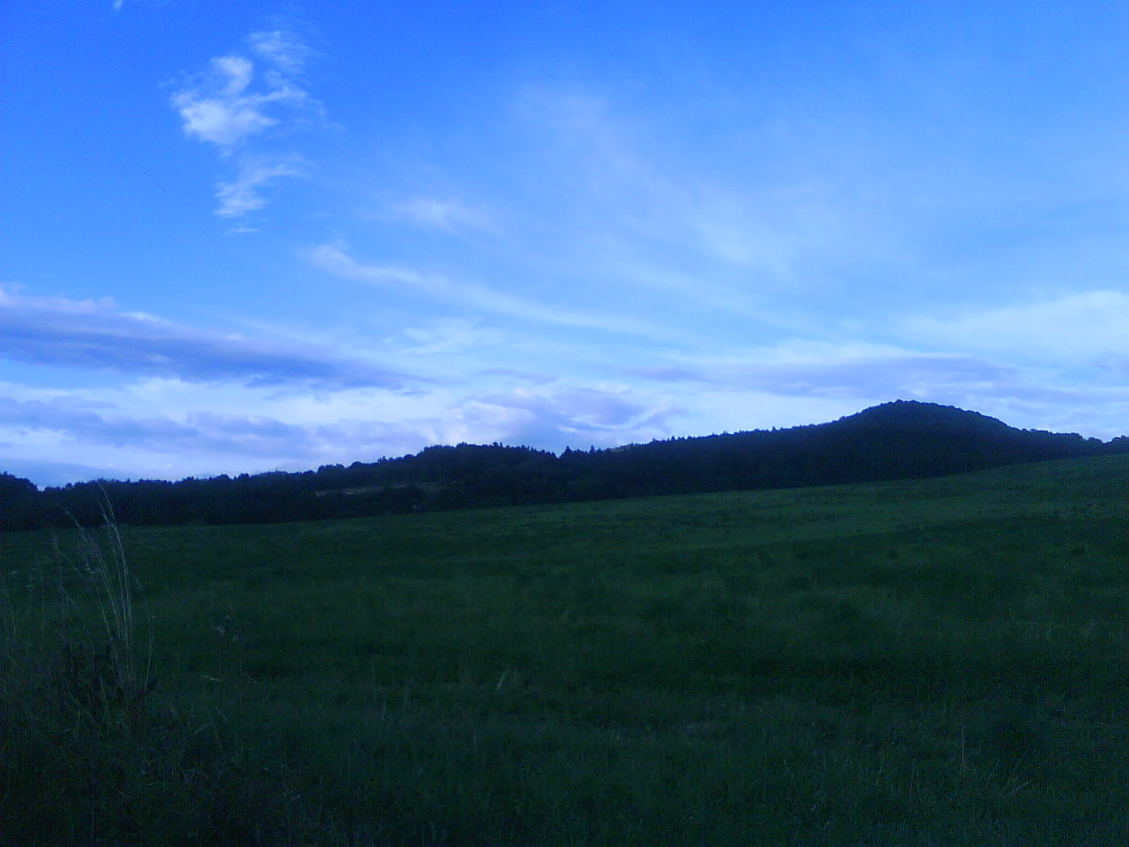 DSC05026